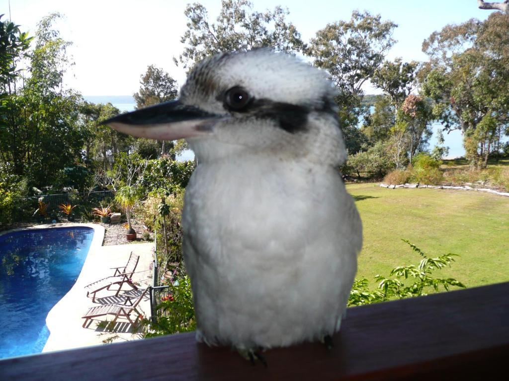 Yarrandabbi Dreaming Boutique B&B Victoria Point Exterior foto